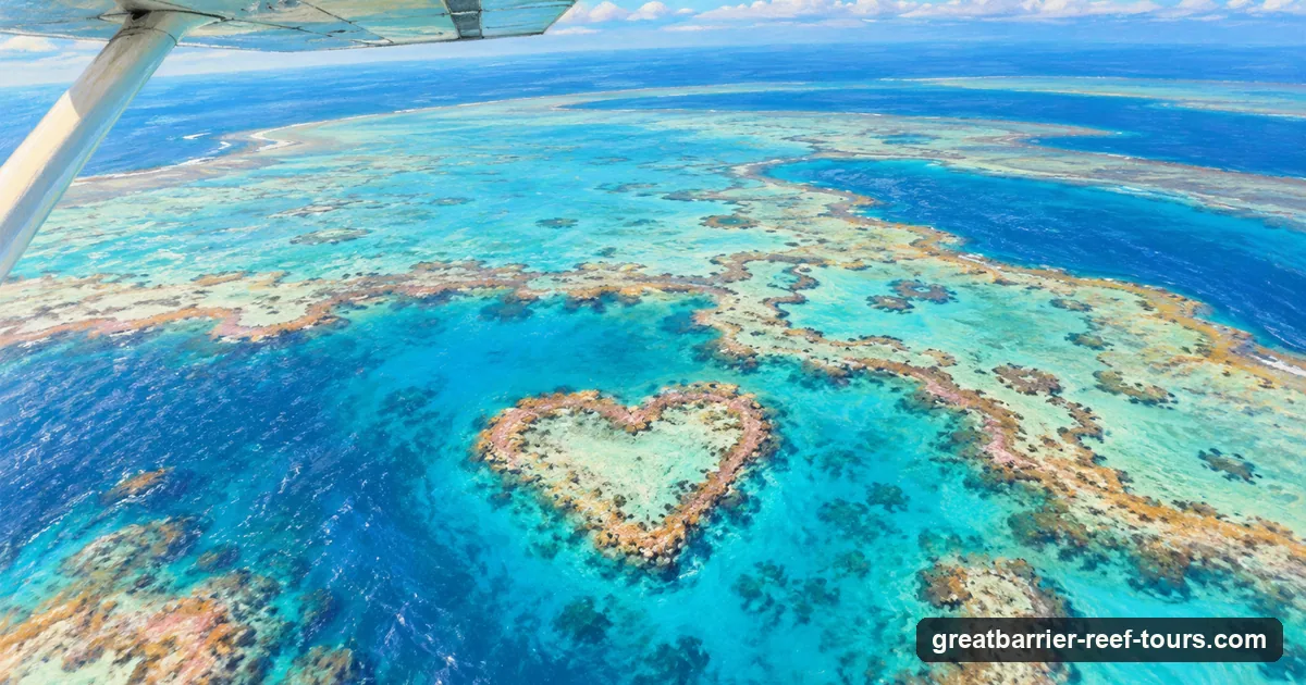 A soft pastel drawing of Heart Reef in the Whitsundays seen from a scenic flight